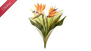 One Stroke Detayli Anlatimi Ile Cennet Kusu Cicegi Boyamasi Sterlician Flower 2020 Cennet Painting Kusu