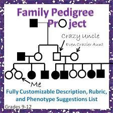 Human Family Pedigree Project And Research Paper Teaching Biology Biology Lessons Teaching Secondary