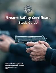 Image result for Gun Safety