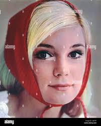 Yvette actress immagini e fotografie stock ad alta risoluzione