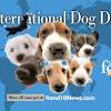 El objetivo principal de esta fecha es también fomentar la adopción en refugios y perreras, que están repletas en muchos países, con lo que tienen que llevar a cabo la eutanasia, incluso en perros sanos o muy jóvenes. 1