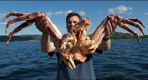 Watak ini adalah ketam gergasi yang dilitupi dengan harta karun. Ketam Udang Sotong Gergasi Pernah Ditangkap Umpan