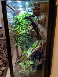 40 Gallon Breeder Aquarium Gecko Arboreal Conversion Kit Gecko Aquarium Breeders
