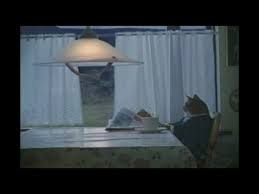 I Should Buy A Boat Cat Meme 3 57 Origin Bjork Triumph Of A Heart Youtube