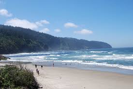 From fishing to beachcombing, whale watching and a variety of hiking trails, there are activities for all ages and activity levels. Our Favorite Review Of Cape Lookout State Park Tillamook Or Tripadvisor