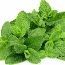 Tapi sekarang dah tak ada sebab shaa amal kan 1 tips ni. Petua Menghilangkan Bau Badan Menggunakan Bahan Bahan Semulajadi