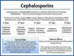 Credible Generation Of Cephalosporin Chart 2019