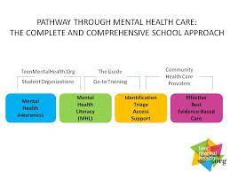 Technology is rapidly improving and changing every aspect of the world, including health care. Pathway Through Care Mental Health Literacy