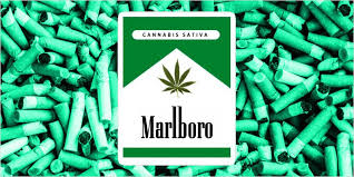 A rumor claims that there is a new brand of marlboro cigarettes which contains marijuana. Dispensarena On Twitter The Great Marlboro Marijuana Cigarettes Debate Fact Or Fiction Https T Co 0mec4pvjce Https T Co 7uwraqcpge