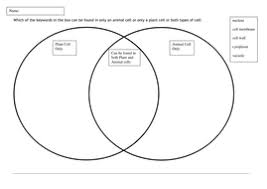 Christina examines plant cells and animal cells (science alliance) powerful plant cells (microquests) animal cells (genetics). Plant And Animal Cell Worksheet Worksheet List