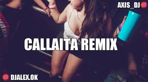 What does bunny mean in spanish : Lyrics Translations Of Callaita Remix By Bad Bunny Popnable