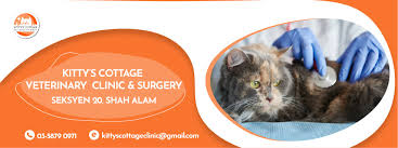 Klinik haiwan, shah alam, selangor, malaisia 4.5. Kitty S Cottage Klinik Haiwan Surgeri Shah Alam Home Facebook