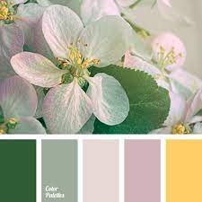 Check spelling or type a new query. Green And Pink Color Palette Ideas