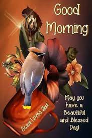 Pin On Good Morning