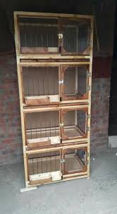 kandang japati pigeon loft pigeon cage chicken cages