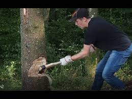 Mit ihr konnte der mensch ein anderes wichtiges rohmaterial erobern: Baum Fallen Mit Der Axt Youtube