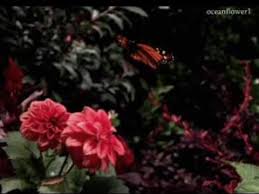 Gheorghe Zamfir The Floral Dance Youtube World Music Kinds Of Music Good Music