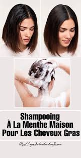 Vous Pouvez Preparer Un Shampooing A La Menthe Maison Tres Efficace Pour Traiter Les Cheveux Gras En Outre Les Proprietes De La Menthe A Hair Care Beauty Hair