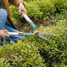 Dieser lehrgang ist praxisorientiert und in fünf module gegliedert. Garten Und Landschaftsbau Im Rheinland