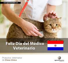 Maybe you would like to learn more about one of these? Un Gran Saludo A Todos Nuestros Amigos En Paraguay 12 De Agosto Veterinary Animals Cats