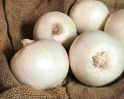 Image of البصل الأبيض يقوي العظام