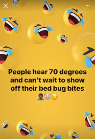 Find and save bed bug meme memes | from instagram, facebook, tumblr, twitter & more. Mrsa Bed Bug Meme