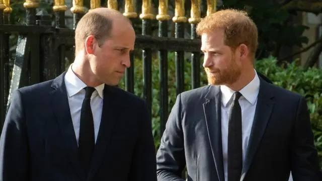 Prince Harry & William's 'Pathetic' Rift Affected Father's Day Celebration  — Source