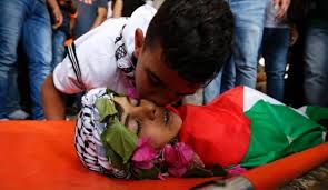 ‫شهادت 16 کودک فلسطینی از ابتدای سال جاری میلادی‬‎