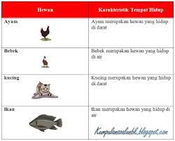 Berikut ini kunci jawaban tema 4 kelas 4 pembelajaran 4 halaman 76, 77, 78 dan 79: Kunci Jawaban Tema 3 Kelas 4 Halaman 76 77 78 81 82 84 85 86 Pembelajaran 5 Subtema 2 Buku Tematik Semangat Belajar