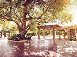 Rancho La Pergola Weddings Texas Wedding Venue San Benito Tx 78586 Pergola Backyard Pergola Pergola Plans