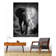 Un tableau noir et blanc d'un majestueux éléphant. Tableau Animalier Elephant Solitaire Image Imprimee Sur Toile