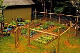 This simple structure is an amazing way to grow various this modern, modular vertical vegetable garden project works well in any space. 30 Diy Cheap Fence Ideas For Your Garden Privacy Or Perimeter
