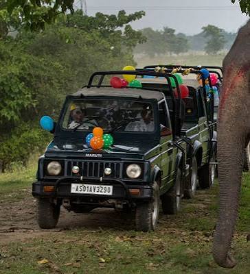 Kaziranga Online Safari Booking, Kaziranga Jeep and Elephant Safari Booking