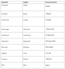 Lista De-Verbos-Irregulares-En-Ingles | Pdf
