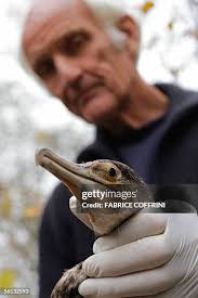 73 Josef Hofer Stock Photos, High-Res Pictures, and Images