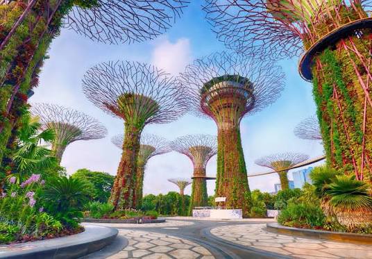 Things to do in Singapore 2026 | Pelago by Singapore Airlines
