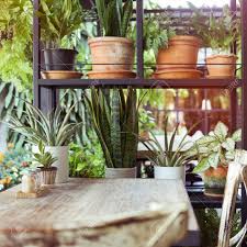 #ikea #dekoration #dekorieren #pflanzen #schlafzimmer #küche #wohnzimmer #terrasse #garten #balkon #scandi #skandi #scandinavian. Dekoration Wohnzimmer Interieur Stil Grun Oko Umwelt Mit Pflanze Und Baum Lizenzfreie Fotos Bilder Und Stock Fotografie Image 45833994