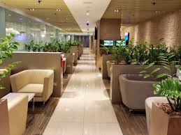 The Haven Singapore Changi Airport Singapore Changi Airport Stay In Singapore Changi