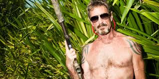 John mcafee is an engineer, zodiac sign: Scat With John Mcafee