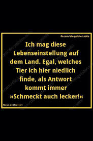 Ich Will Fleisch Drache Verbrenn Harry Witzige Spruche Lustige Spruche Spruche Zitate