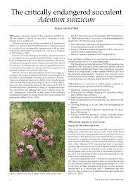 Check spelling or type a new query. Pdf The Critically Endangered Succulent Adenium Swazicum