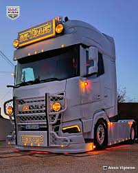 Image result for Groen 1999 DAF