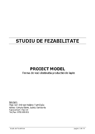 Lucrarl pentru modernizare stadion comuna clinceni, judetul ilfov. Pdf Studiu De Fezabilitate Proiect Model Gabriel Grigoras Academia Edu