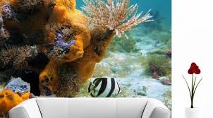 ورق جدران ثلاثي الابعاد ورق حائط 3d تحت البحر متاح حسب المقاس المطلوب قابل للغسيل مقاوم للخدش صديق للبيئه ومقاوم للفطريات تصميم Wallpaper Photo Google Photos