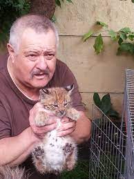 Cea mai buna calitate familie de lei figurine de jucarie pentru copii peste 4 ani pret premium. Pui De Ras Gasit La Tihuta Predat Unui Centru De Ingrijire