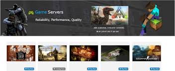After that i ran the server.jar, and used bukkit and ad. 9 Best Game Server Hosting Platforms For Everyone