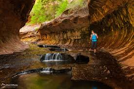 Maybe you would like to learn more about one of these? Zion Guru Zion Narrows Subway Canyoneering Scenic Tours Yoga