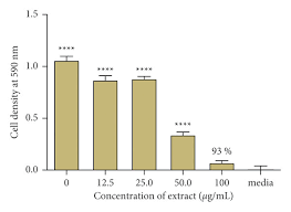 Image result for Ozoroa reticulata