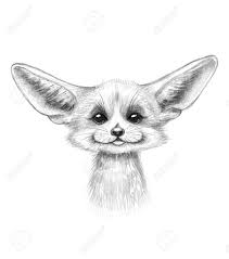 Kits reach sexual maturity at 10 months old. Hand Drawn Monochrome Fennec Fox Isolated On White Background Stock Photo Picture And Royalty Free Image Image 132896269
