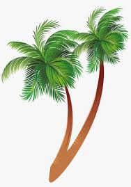 Use them in commercial designs under lifetime, perpetual & worldwide rights. Free Download Cartoon Palm Tree Clipart Coconut Palm Palm Tree Cartoon Jpg Png Image Transparent Png Free Download On Seekpng